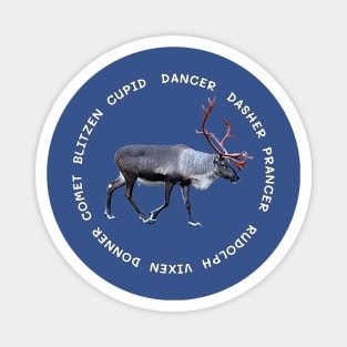 All Santas reindeer Magnet